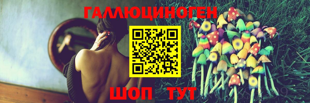 Псилоцибиновые грибы Psilocybe Красногорск
