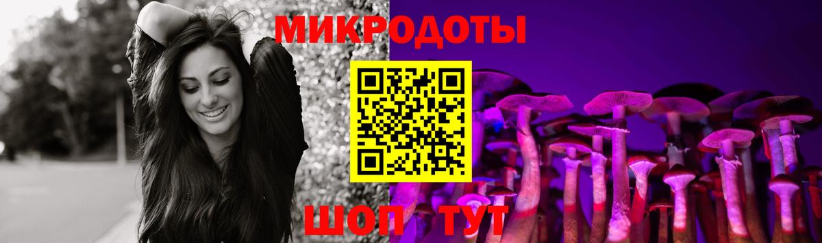 Псилоцибиновые грибы Psilocybe  Псилоцибиновые грибы GOLDEN TEACHER  Вход с VPN  Красногорск 